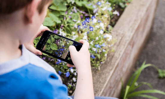 APPLICATION POUR IDENTIFIER LES PLANTES