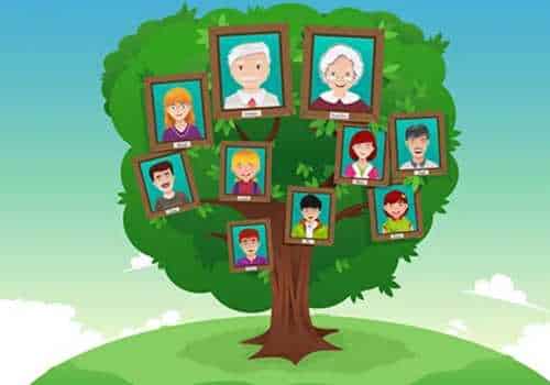 Apps para poder hacer tu árbol genealógico