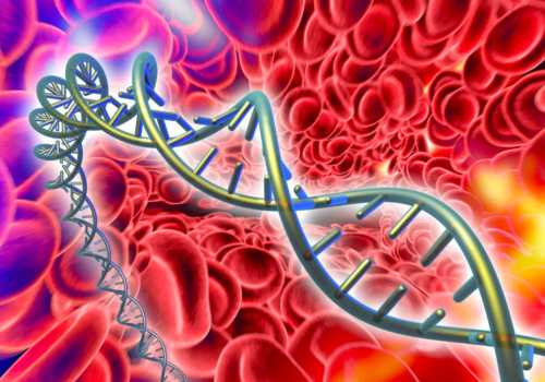 Descubre tus raíces explora tu árbol genealógico con aplicaciones de ADN