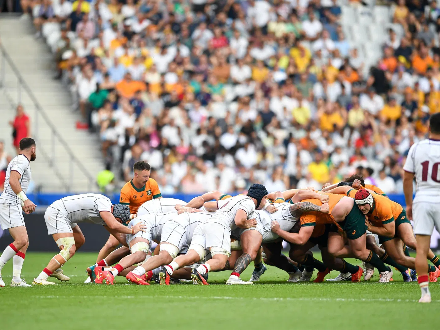 Las Mejores Aplicaciones para Ver Rugby
