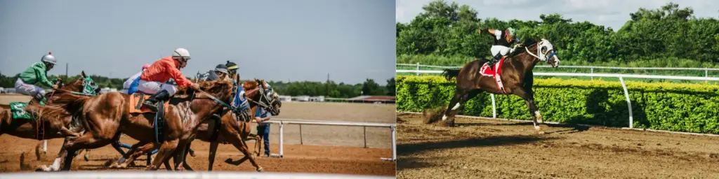 Mejores Aplicaciones de Carreras de Caballos